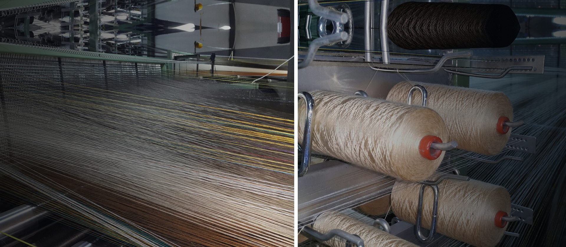 Alanının Öncüsü Senka Kadife